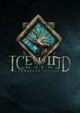 Icewind Dale: Enhanced Edition tn