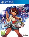 Indivisible tn