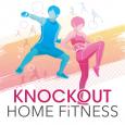 Knockout Home Fitness tn