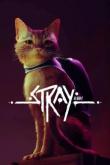 Stray tn