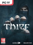 Thief tn