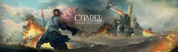 Citadel: Forged with Fire