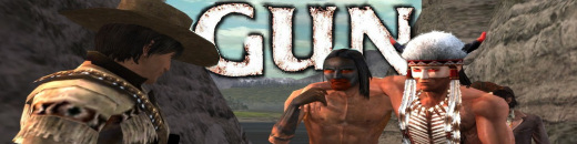 Gun