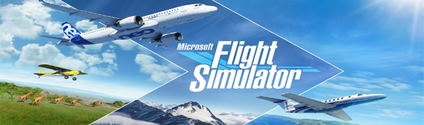 Microsoft Flight Simulator