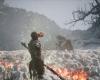 A majom és az ő zöld ruhája – Megjelenési dátumot kapott az xboxos Black Myth: Wukong tn
