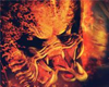 Alien vs. Predator Classic 2000 ingyen!  tn