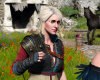 És azt tudtad, hogy a The Witcher iskoláinak valójában semmi értelme?