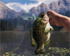 Far Cry 5 – az állatvédők nem örülnek a horgászatnak tn