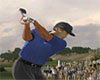 Golfozz online Tiger Woodsszal! tn
