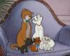 Köszönöm az égieknek, hogy a Disney nem gyalázza meg a kedvenc mesémet