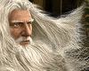 Lord of the Rings Online: jönnek az emberek tn