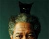 Morgan Freeman-nel szelfiznél? Irány Budapest! tn