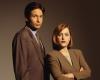 Mulder és Scully visszatér tn