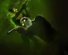 Vén kecske is megmenti a show-t – Splinter Cell: Deathwatch kritika