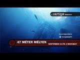 47 méter mélyen (2017) Trailer tn