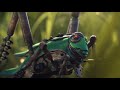Biomutant - Cinematic Trailer tn