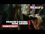 Dragon's Dogma: Dark Arisen (PC) - Teszt tn