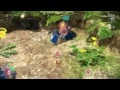 E3 2013 - Pikmin 3 trailer tn