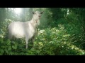 Goat Simulator Xbox trailer tn