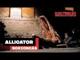 Negyven éves Az aligátor és egyéb állatos horrorfilmek ► Borzongás - Kötetlenül tn