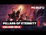 Pillars of Eternity - Vágjunk bele! tn