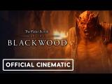 The Elder Scrolls Online: Blackwood - Official Cinematic Launch Trailer tn