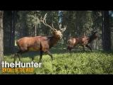 The Hunter: Call of the Wild Gameplay Trailer tn