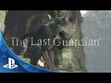 The Last Guardian - E3 2015 Trailer  tn